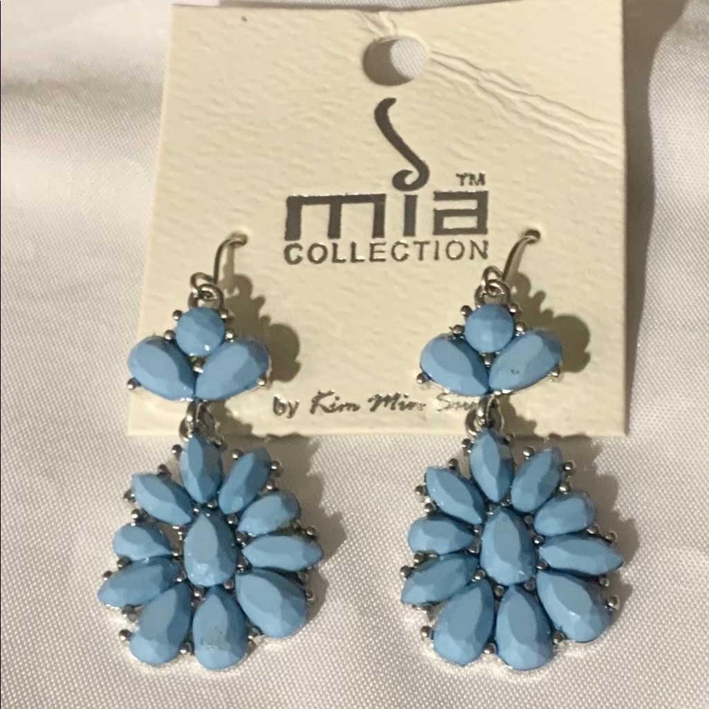 Drop Earrings Nwt 10$